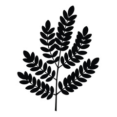 Elegant black silhouette of a delicate fern frond with numerous small oval leaves on a white background