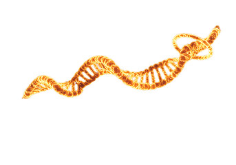 Naklejka premium Orange dna strand isolated on transparent background for science and medicine