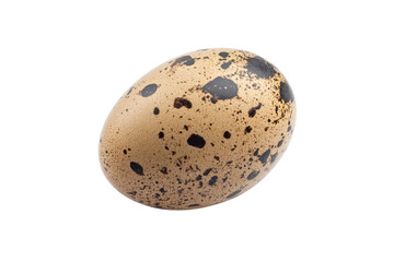 Obraz premium Brown quail egg with distinct speckled pattern isolated on a clean white background showcasing natural texture and color variations