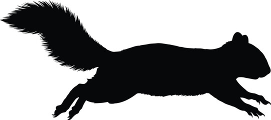 Dynamic squirrel silhouette mid-leap agile wild animal motion energy burst vector © Mohim