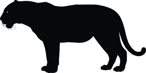 Majestic black panther silhouette powerful wild animal vector graphic vector
