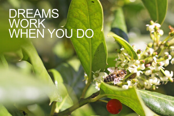 Dreams work when you do - motivation quote is shown using the text. Stop wishing start doing