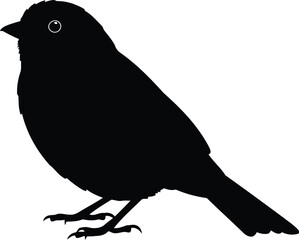 Silhouette of a perched bird for design elements and nature themes vector