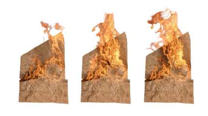 Realistic Flames and Burning Wood Isolated Transparent Background Illustration