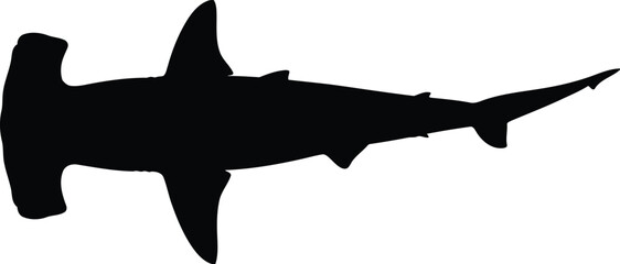 Hammerhead shark silhouette majestic ocean predator wildlife marine life vector © Mohim
