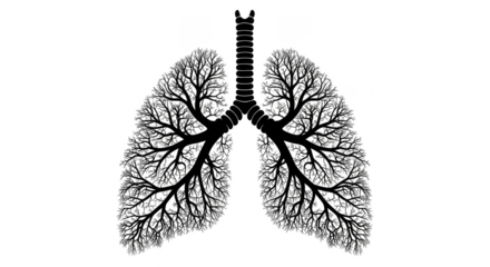 Luminous lungs with fractal branching pathways
