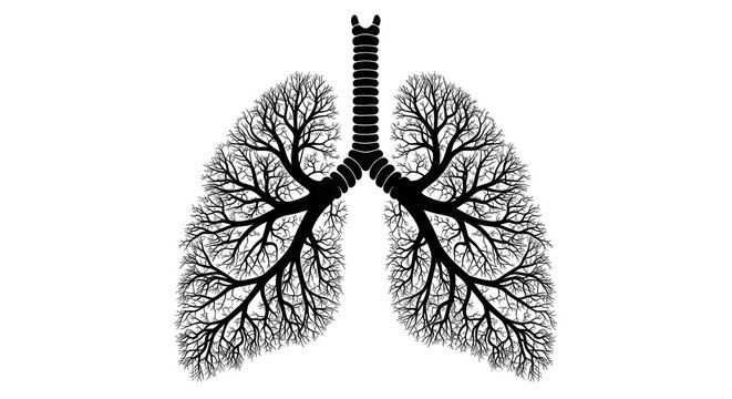 Luminous lungs with fractal branching pathways