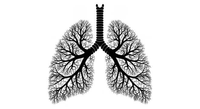 Luminous lungs with fractal branching pathways