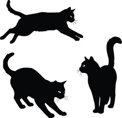 Cat Silhouette Illustration Set – Jumping, Playing Cats in Motion, Active Cats, Animal Behavior Vector Art for Pet Designs.