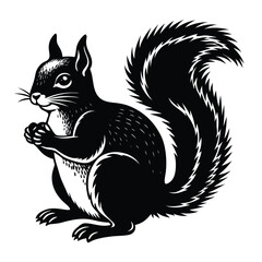 Black squirrel vector illustration woodland animal clip art rodent wildlife nature design element isolated on white