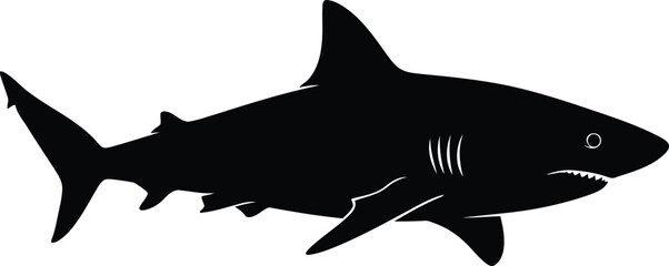 Silhouette of a great white shark predator swimming in the ocean water vector