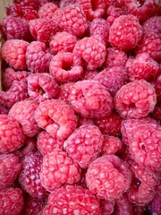background of raspberries