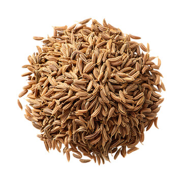Cumin png