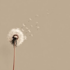 Obraz premium Delicate Dandelion Puff Blowing in the Gentle Breeze on Beige Canvas