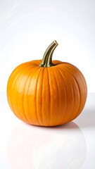Obraz premium Single orange pumpkin on white background