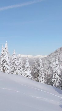 AERIAL: Spectacular pristine white snow covered scenery surrounds unrecognizable ski tourer making her way up a mountain. Fit young female splitboarder hikes up a snowy meadow on a sunny winter day.