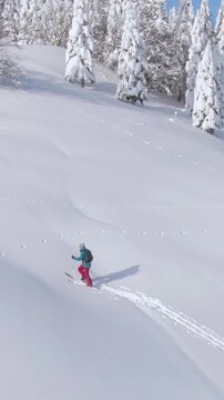 DRONE: Fit female tourist ski touring in picturesque snowy Bohinj hikes up a mountain. Woman splitboarding in the Julian Alps is powder chasing on a sunny winter day. Spectacular wintry landscape.
