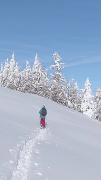 AERIAL: Woman on splitboarding trip in the Julian Alps hikes up a snowy meadow. Scenic wintry mountain landscape surrounds fit young woman ski touring on a sunny day. Gorgeous idyllic wintry landscape