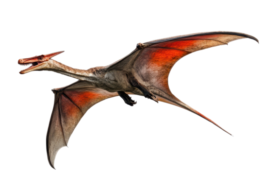 Pteranodon Pterodactylus soaring through the prehistoric skies in a high-resolution depiction showcasing its majestic wings and vibrant coloration