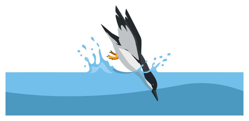 Fototapeta premium Bird Diving for Fish.