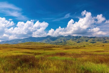 Obraz premium Breathtaking panoramic view of a verdant grassland under a vibrant blue sky with puffy clouds and distant mountains during a sunny day
