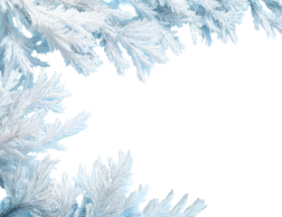 Intricate Blue and White Frost Crystals on Black Background