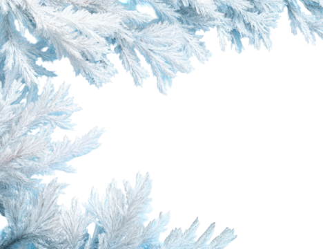 Intricate Blue and White Frost Crystals on Black Background