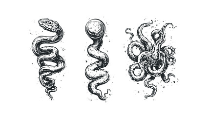 Ink drawing collection of serpentine creatures with textured finish. Vector hand drawn illustration