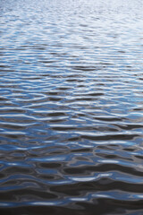 Calm Rippling Water Surface with Reflections in Natural Daylight