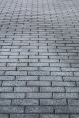 Close-Up of Gray Brick Pavement Surface Showing Detailed Texture and Pattern