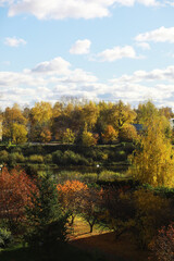 Autumn Landscape with Colorful Trees and Cloudy Sky in Crisp Weather