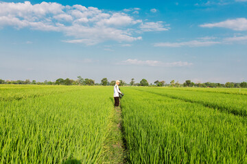 A farmer walks through a lush green rice field while carrying a large sack on his shoulder. The vast paddy field stretches under a bright blue sky with scattered clouds, symbolizing rural life,