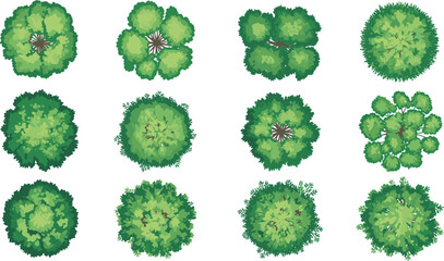 Tree, canopy, top view, foliage, greenery, nature, plant, garden, park, landscape, botanical, aerial, deciduous, evergreen, coniferous, arbor, vegetation, leaf, flat, vector illustration