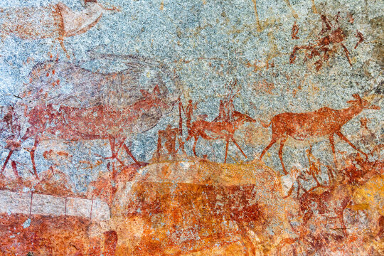 Nswatugi Cave friezes of giraffes, elephants and kudu in Matobo Hills National Park of Zimbabwe, a world heritage site