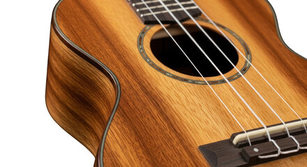 Obraz premium Detailed macro shot showcases the wood grain and strings of a ukulele on black backdrop
