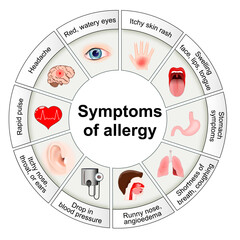 Fototapeta premium Symptoms of allergy. Histamine and local immune responses