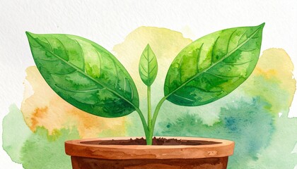 小さな植木鉢から、緑色の双葉が芽吹いているイラスト