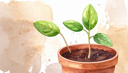 小さな植木鉢から、緑色の双葉が芽吹いているイラスト