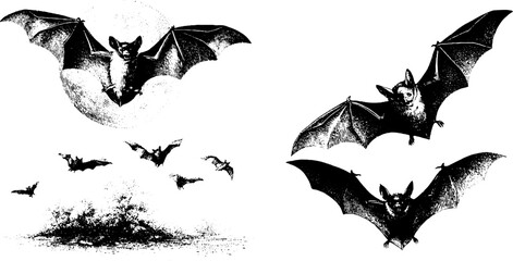 Halloween bats engraving elements collection for designs and decor