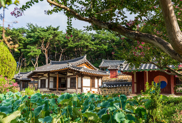  Tranquil scenery of the traditional Korean house Songhojeong in Gyeongju with crape myrtle flowers and a lotus pond in summer