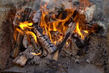 Flames dancing among charred wood logs create a warm and inviting atmosphere, showcasing the beauty of a crackling fire in a rustic fireplace setting