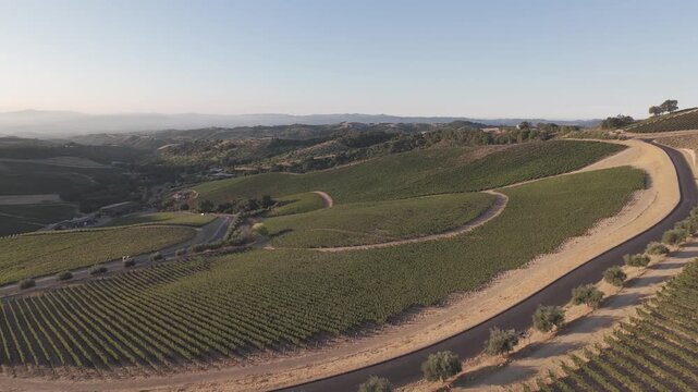 Paso Robles Vineyard Hills Drone Aerial &ndash; California Wine Country Scenic Vine Rows, Rolling Hills and Sunset Landscape