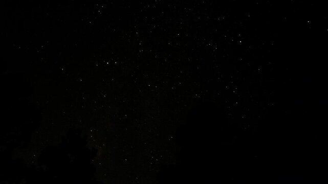 Pine Tree Star Time Lapse Dark