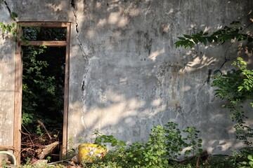 Weathered Cracked Wall with Open Doorway