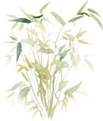 Fototapeta premium Vector watercolor painted bamboo. Hand drawn flower design elements isolated on white background.