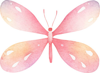 Vector watercolor painted butterfly. Hand drawn design elements isolated on white background.