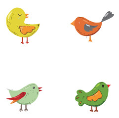 birds environment beautiful c...