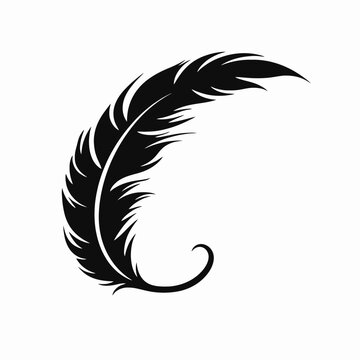 Graceful detailed feather illustration shown as an inky black silhouette