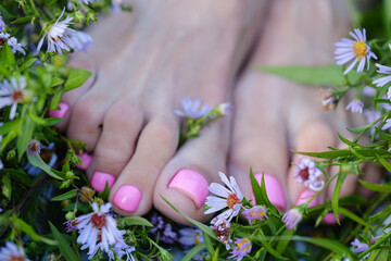 beautiful female feet close-up with small wild flowers asters