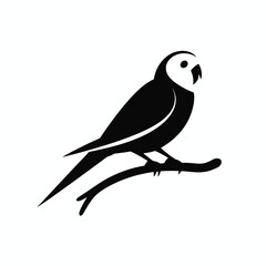 Obraz premium Graceful parrot perched elegantly upon a branch in a minimal silhouette